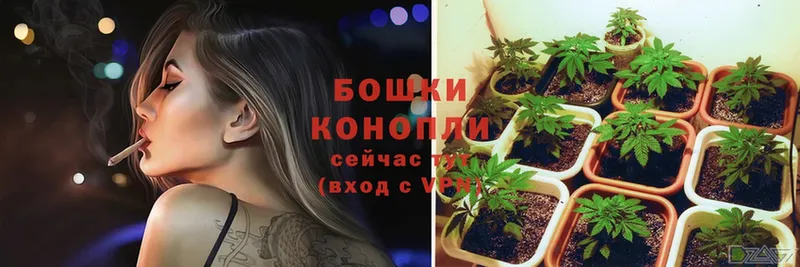 МАРИХУАНА планчик  где купить наркотик  Орлов 